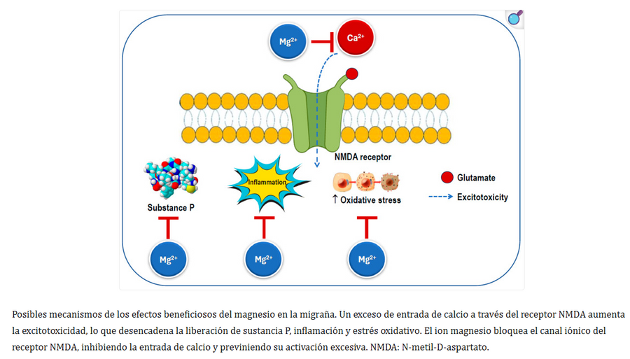 El Poder del Magnesio: Tu aliado natural contra la Migraña